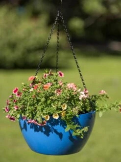 Viva Self-Watering Hanging Basket, 14" Diameter -Plants And Accessories Shop 8596442 0876 tif