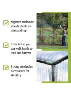 Crop Cage, 4' X 12' -Plants And Accessories Shop 8596540 4