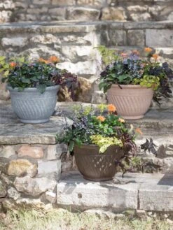 Mazzano Self-Watering Planters 10 Mazzano Self-Watering Planters -Plants And Accessories Shop 8596563 4899 tif