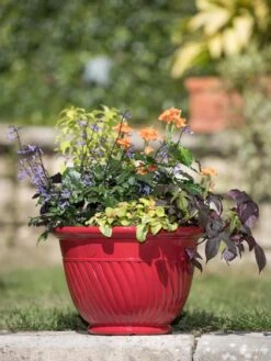 Mazzano Self-Watering Planters 13 Mazzano Self-Watering Planters -Plants And Accessories Shop 8596564 4883 tif