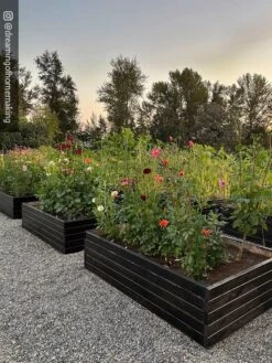 Gardener’s Exterior Wood Stain, 1 Quart -Plants And Accessories Shop 8596700 02IN