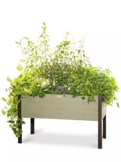 Eco-Stained Elevated Planter Box, 2'x4' -Plants And Accessories Shop 8596759 105 tif