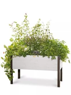 Eco-Stained Elevated Planter Box, 2'x4' -Plants And Accessories Shop 8596759 3837 tif