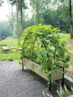 Eco-Stained Elevated Planter Box, 2'x8' -Plants And Accessories Shop 8596760 0046 tif 1