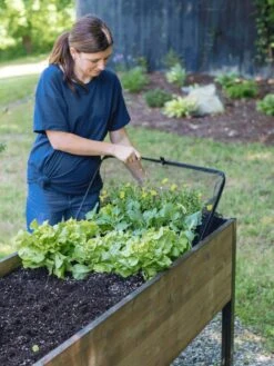 Pop-Up Bird Netting -Plants And Accessories Shop 8596764 PopUpBirdNetting gif