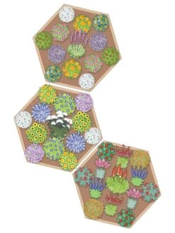 Pollinator Garden Bed -Plants And Accessories Shop 8597000 Hummingbird Plan tif