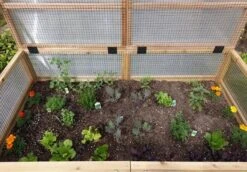 Garden In A Box Cedar Raised Bed With Greenhouse, 3' X 6' -Plants And Accessories Shop 8597082 03V tif