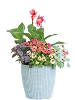 Weave Self-Watering Round Planter, 14" 7 Weave Self-Watering Round Planter, 14" -Plants And Accessories Shop 8597388 2175 tif
