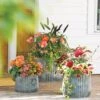 Galvanized Ribbed Planters -Plants And Accessories Shop 8597436 1680 tif