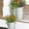 Galvanized Rim Planters -Plants And Accessories Shop 8597442 1700 tif