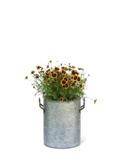 Galvanized Rim Planters 12 Galvanized Rim Planters -Plants And Accessories Shop 8597442 1705 tif