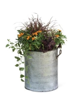 Galvanized Rim Planters 13 Galvanized Rim Planters -Plants And Accessories Shop 8597443 1704 tif