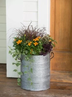 Galvanized Rim Planters 10 Galvanized Rim Planters -Plants And Accessories Shop 8597443 1708 tif