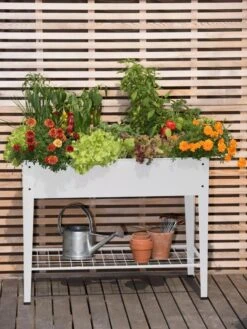 Demeter Elevated Raised Bed 9 Demeter Elevated Raised Bed -Plants And Accessories Shop 8597496 0700 tif