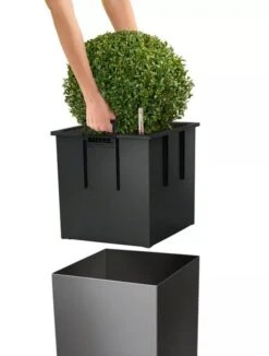 Lechuza® Cube Premium Planters 10 Lechuza® Cube Premium Planters -Plants And Accessories Shop 8597506 04V tif