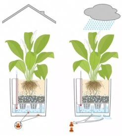 Lechuza® Cube Premium Planters 11 Lechuza® Cube Premium Planters -Plants And Accessories Shop 8597506 05V tif