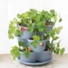 Stacking Strawberry Pot 2 Stacking Strawberry Pot -Plants And Accessories Shop 8597996 9004 tif