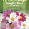 Sensation Blend Cosmos Organic Seeds -Plants And Accessories Shop 8598224 01V tif