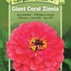 Giant Coral Zinnia Organic Seeds 2 Giant Coral Zinnia Organic Seeds -Plants And Accessories Shop 8598226 01V tif