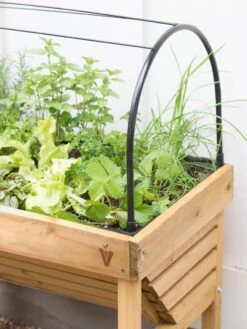 VegTrug® Mini Wallhugger Planter With Cover -Plants And Accessories Shop 8598339 4004 tif