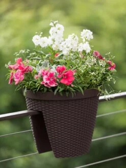 Weave Round Railing Planter, 11" -Plants And Accessories Shop 8598370 8584 tif