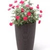 Weave Self-Watering Round Tall Planter, 12-1/2" -Plants And Accessories Shop 8598371 3000 tif