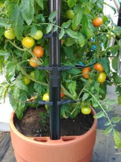 Gardener’s Victory Self-Watering Planter With Support System -Plants And Accessories Shop 8598384 01EMP tif