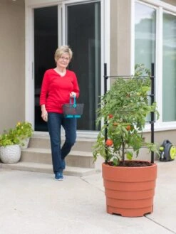 Gardener’s Victory Self-Watering Planter With Support System -Plants And Accessories Shop 8598384 6011 tif