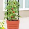 Gardener’s Victory Self-Watering Planter With Support System -Plants And Accessories Shop 8598384 6012 tif