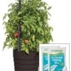 Gardener’s Victory Self-Watering Planter Garden Kit 2 Gardener’s Victory Self-Watering Planter Garden Kit -Plants And Accessories Shop 8598389 5000 tif