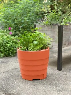 Gardener’s Victory Self-Watering Patio Planter -Plants And Accessories Shop 8598395 01479 tif