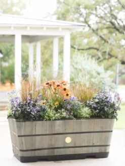 VegTrug™ Trough Planters 16 VegTrug™ Trough Planters -Plants And Accessories Shop 8598402 08880 tif