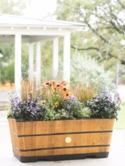 VegTrug™ Trough Planters 14 VegTrug™ Trough Planters -Plants And Accessories Shop 8598402 8880 tif