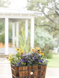 VegTrug™ Trough Planters 11 VegTrug™ Trough Planters -Plants And Accessories Shop 8598403 008876 tif