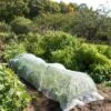 Insect Protection Tunnel -Plants And Accessories Shop 8598536 8225 tif
