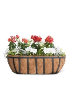 AquaSave™ Oxford Window And Deck Planters 9 AquaSave™ Oxford Window And Deck Planters -Plants And Accessories Shop 8598626 8809 tif