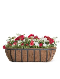 AquaSave™ Oxford Window And Deck Planters 8 AquaSave™ Oxford Window And Deck Planters -Plants And Accessories Shop 8598628 1000 tif