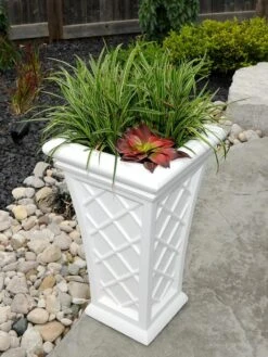 Front Page -Plants And Accessories Shop 8598645 09V tif