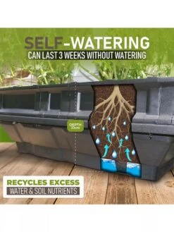 Vegepod Raised Garden Beds -Plants And Accessories Shop 8598930 02V