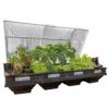 Vegepod Raised Garden Beds 1 Vegepod Raised Garden Beds -Plants And Accessories Shop 8598931 02V