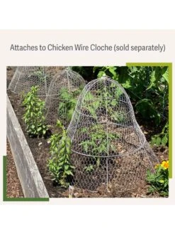 Chicken Wire Cloche Extension -Plants And Accessories Shop 8599107 2