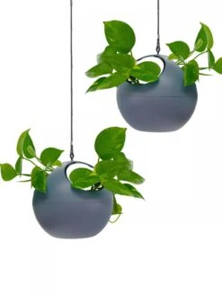 Exaco Euro Hanging Planters, Set Of 2 9 Exaco Euro Hanging Planters, Set Of 2 -Plants And Accessories Shop 8599179 04V tif