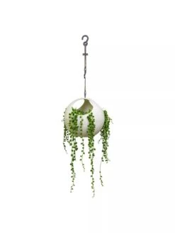 Exaco Euro Hanging Planters, Set Of 2 8 Exaco Euro Hanging Planters, Set Of 2 -Plants And Accessories Shop 8599179 06V tif