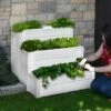 Cascading Keyhole Garden Bed -Plants And Accessories Shop 8599294 01V tif