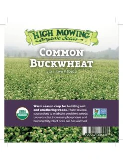Common Buckwheat Organic Seeds -Plants And Accessories Shop 8599871 04v