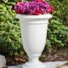 Ellington Self-Watering Urn Planter, 24" 1 Ellington Self-Watering Urn Planter, 24" -Plants And Accessories Shop 8600110 12V tif