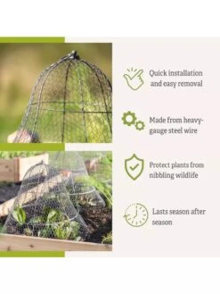 Chicken Wire Cloche With Extension -Plants And Accessories Shop 8600116 3