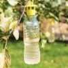 Bottle Insect Traps, Set Of 6 -Plants And Accessories Shop 8600119 0532 tif