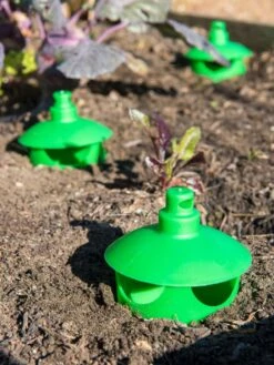 Slug And Snail Traps, Set Of 3 -Plants And Accessories Shop 8600120 1788