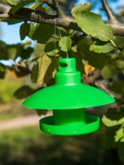 Slug And Snail Traps, Set Of 3 -Plants And Accessories Shop 8600120 1792